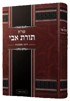 שו״ת תורת אבי דיני ממונות